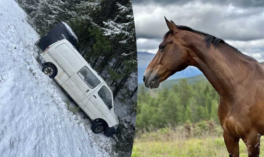 På glatt føre endte bil og henger i grøfta – Bagatell måtte avlives