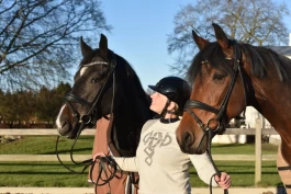 Slik vil Danmark belønne positiv og harmonisk dressurridning