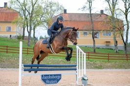 Lykkes med banehopping: – Skal være så harmonisk som mulig