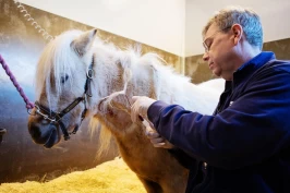 EMS: Den snikende sykdommen bak mange tilfeller av forfangenhet