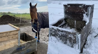 Slik bygger du en smart fôrkasse som tåler vær og vind