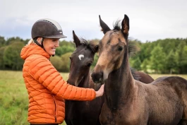 Jobbtilbudet Rigmor ikke kunne takke nei til: – En drømmejobb