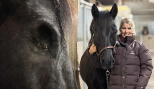 Rideskolehesten Gino mistet øyet – tilpasser seg et nytt liv