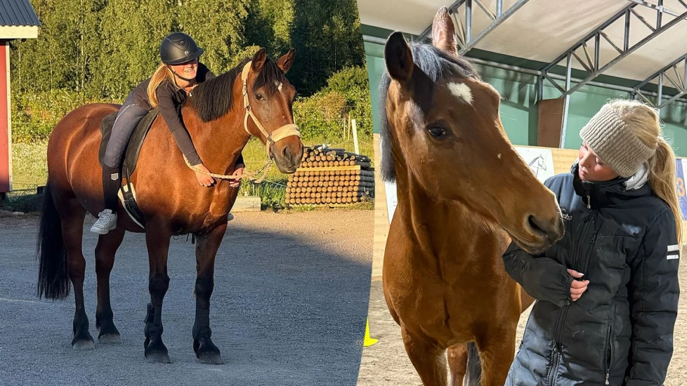 Den misforståtte rideskoleponnien: – Løsningen var ikke skarpere bitt