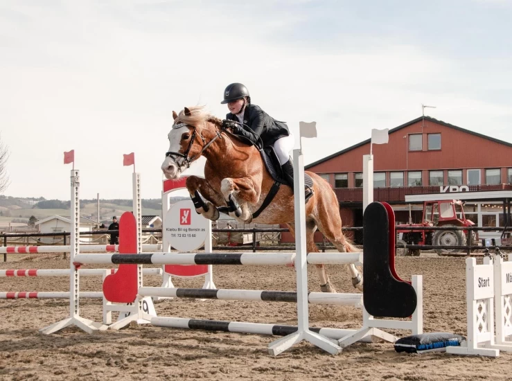 Tre ganger på rad: Ida og Åmotslynet er mest allsidige igjen