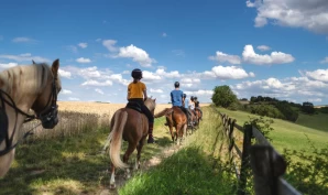 Rideskolene presses når hestene blir færre og dyrere