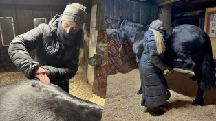 Snart er Hannah hesteterapeut: – Du må synes det er givende