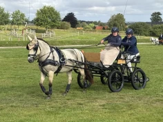 Måtte gi slipp på ridningen – nå satser Christine mot VM