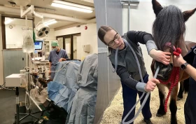 Ingrid valgte ekstra år med læring: – Får sett mye på kort tid