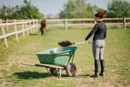 Slik kan hestenæringen ta det neste steget mot bærekraft