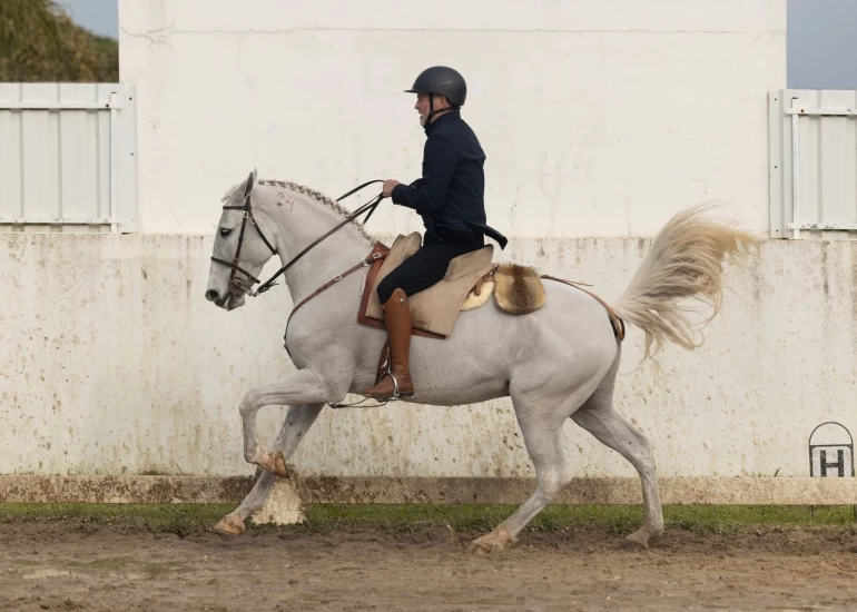Sturla (78) vil til VM: – Skal ikke sitte og si at man er for gammel