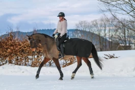 Får ikke dispensasjon fra bittkrav: – Bidrar ikke til økt rekruttering