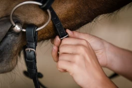 Gir ikke dispensasjoner: – Kan man ikke oppfylle kravene, kan man ikke starte