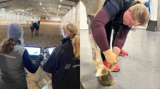 Unngå dyre overraskelser – hva dekker egentlig forsikringen?