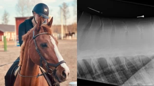 Stuart fikk en siste sjanse: – Ingen trodde det var mulig