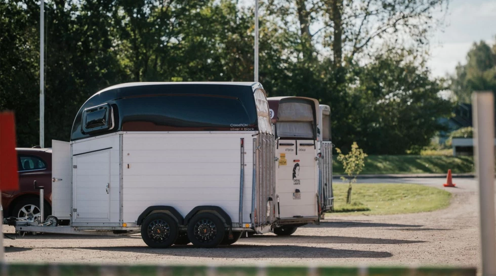 Slik unngår du å bryte reglene når du frakter hest