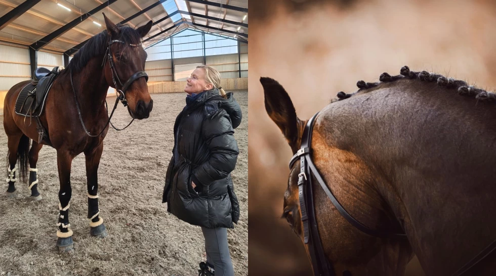 Ridning bak lodd – hva vet vi egentlig om konsekvensene?