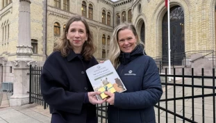 Ber om nasjonalt forbud mot privat fyrverkeri