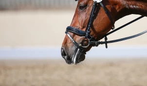 Fjerner muligheten for dispensasjon fra bittkravet