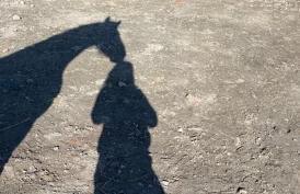 « Å forandre hesten sin – gjennom å forandre seg selv