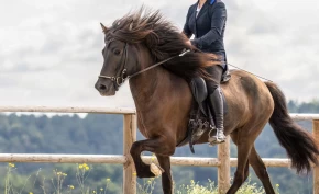 Skjerper utstyrsreglene – pelhambitt forbys