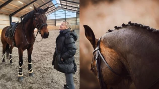 Ridning bak lodd – hva vet vi egentlig om konsekvensene?