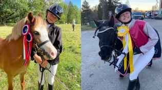 Sigrid og Kines ponniprosjekt: – En utrolig reise