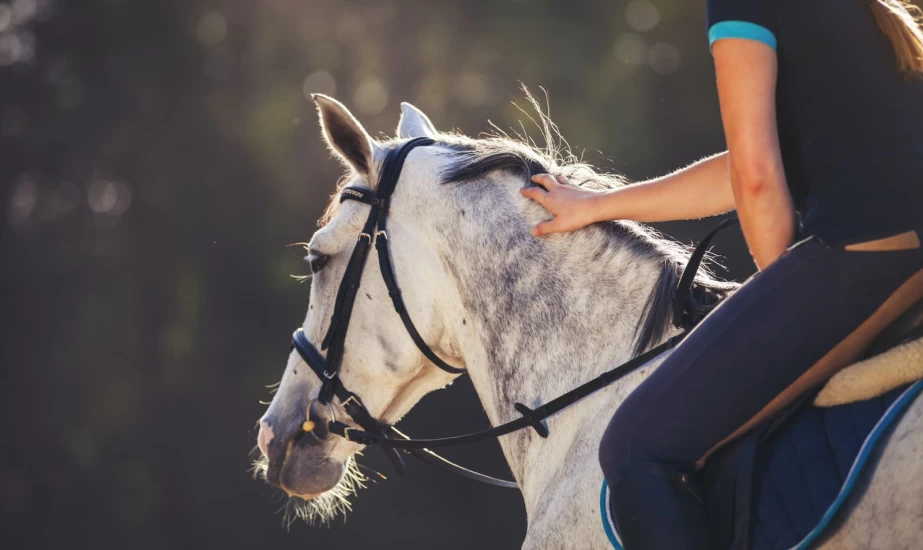 Er hesten skjev eller bare «høyrehendt»?