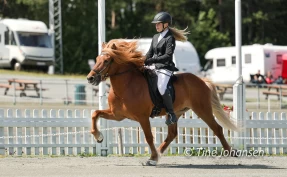 Julie (14) best i Herning – vokst opp med turridning i fjellet