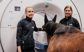 Ny teknologi åpner nye dører – CT endrer diagnostikken på hest