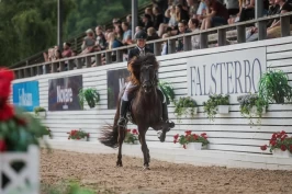 Eksteriør og trening avgjør hvor tungt islandshesten kan bære