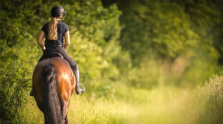 Ryttere: Hvordan har ryggen deres det?