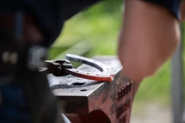 Nasjonal kartlegging peker ut veien videre for hovslagerfaget