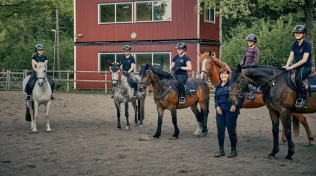 Slik sikrer de fremtidens rideskolehester: – Prøver å ligge ett steg foran