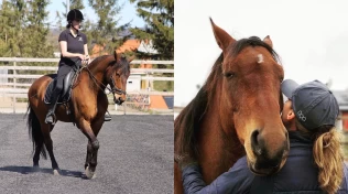 – For meg handler dressur om samspill, ikke spektakulære bevegelser