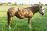 Sommereksem: Tilrettelegging, behandling og vaksine