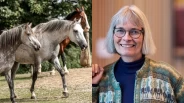 Cecilie har forsket på hestevelferd i over 30 år – tre behov peker seg ut