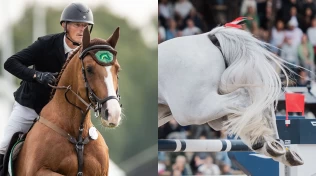 – Tar utgangspunkt i at alle hester kan reagere