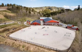 Hestemiljøet går sammen for Bratsberg: – Dette er vår sjanse