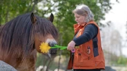 Slik kommer du i gang med belønningsbasert trening