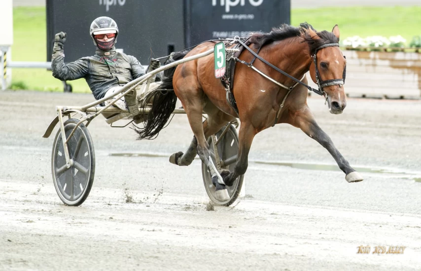 Express Go setter fart på sjekk-debatten: – Virkelig sjelden