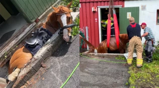 Falt ned i en kum – måtte reddes med kranbil
