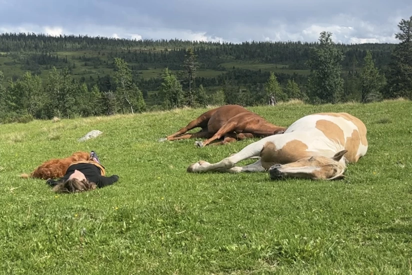 Trygghet er ingen «belønning» – og normaliserer vi stress?