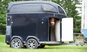 Sjekk hestetransporten før du kjører