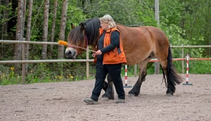 Target-trening med hesten: Tre fine øvelser å starte med