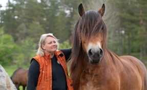 Bygg en relasjon med hesten din – begynn i hverdagen
