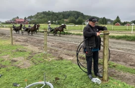 Veshovda Gjedresystem: Hestegjerder som varer