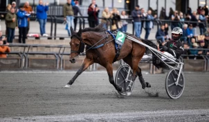 Express Go ubeseiret etter ti løp – vant årets største oppgave