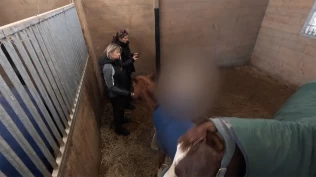 Tusenvis melder bekymring: – Krevende prioriteringer