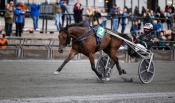 Express Go ubeseiret etter ti løp – vant årets største oppgave